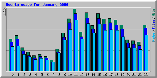 Hourly usage for January 2000