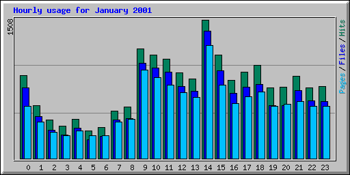 Hourly usage for January 2001