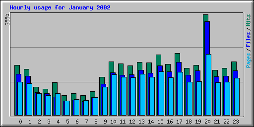 Hourly usage for January 2002