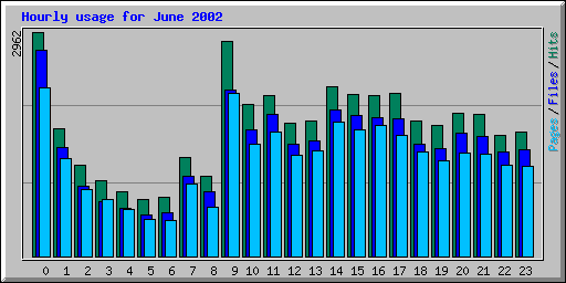 Hourly usage for June 2002