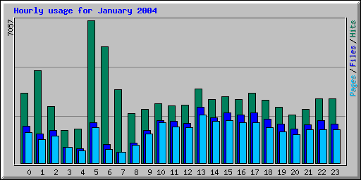 Hourly usage for January 2004