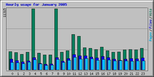 Hourly usage for January 2005