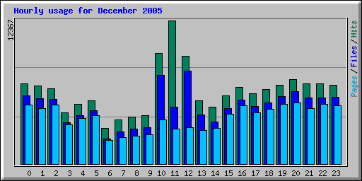 Hourly usage for December 2005