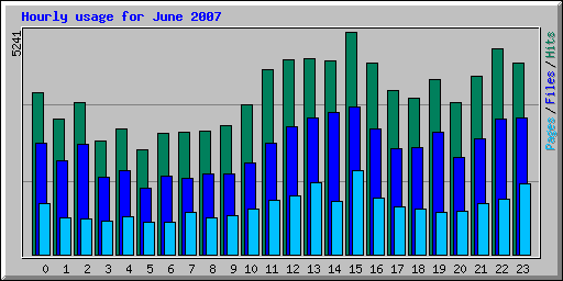 Hourly usage for June 2007