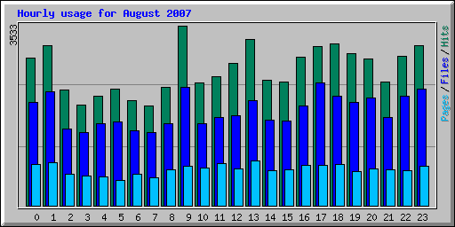 Hourly usage for August 2007