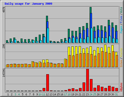 Daily usage for January 2009