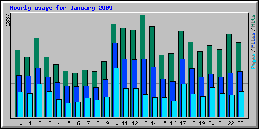 Hourly usage for January 2009