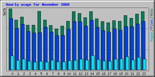 Hourly usage for November 2009