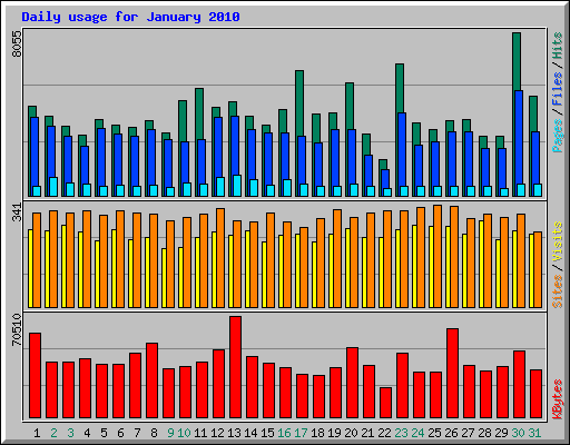 Daily usage for January 2010