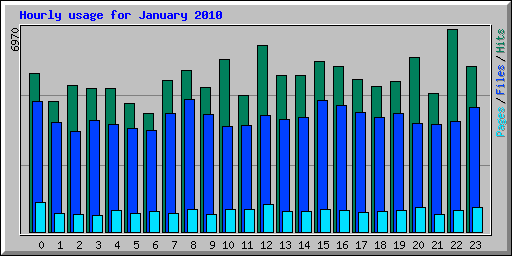 Hourly usage for January 2010