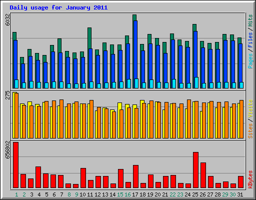 Daily usage for January 2011