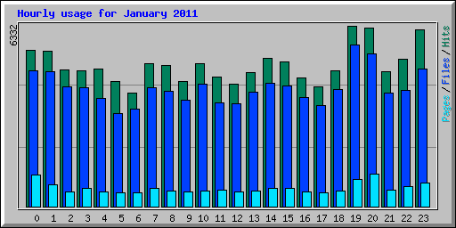 Hourly usage for January 2011