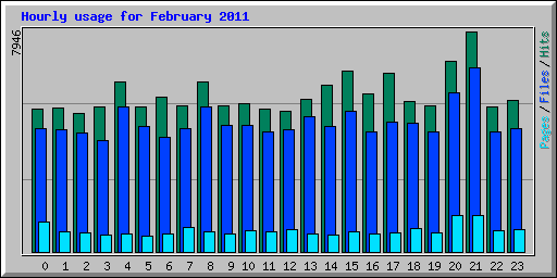 Hourly usage for February 2011