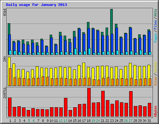 Daily usage for January 2013