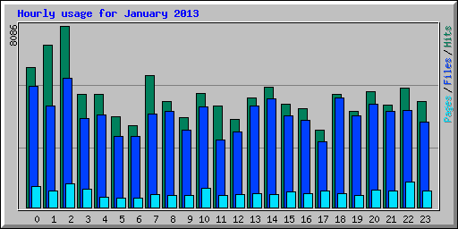 Hourly usage for January 2013