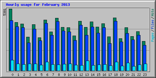 Hourly usage for February 2013