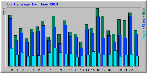 Hourly usage for June 2013