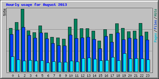 Hourly usage for August 2013