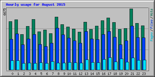 Hourly usage for August 2015