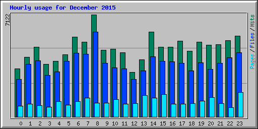 Hourly usage for December 2015