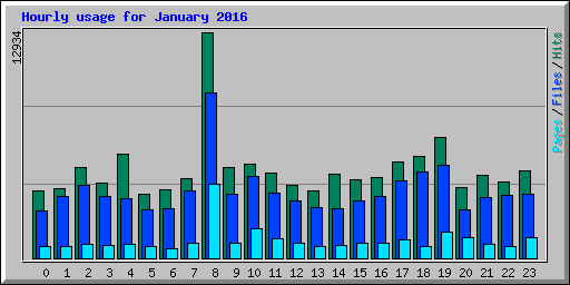 Hourly usage for January 2016