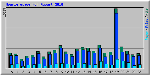 Hourly usage for August 2016