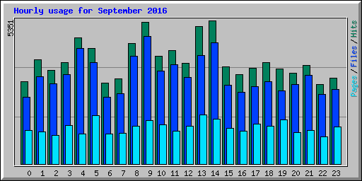 Hourly usage for September 2016