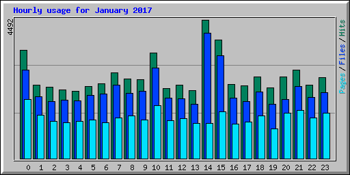 Hourly usage for January 2017