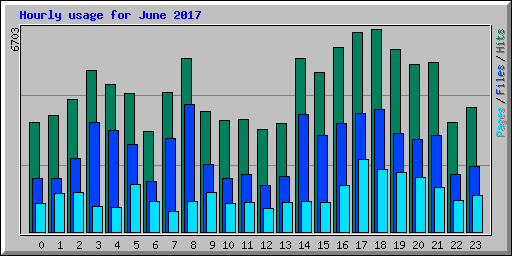 Hourly usage for June 2017