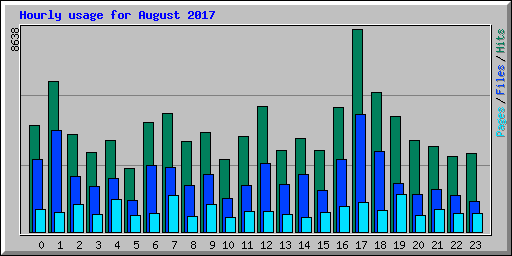 Hourly usage for August 2017