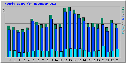 Hourly usage for November 2018