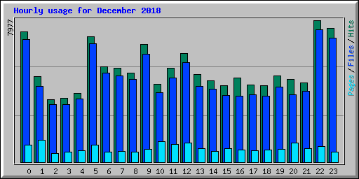 Hourly usage for December 2018