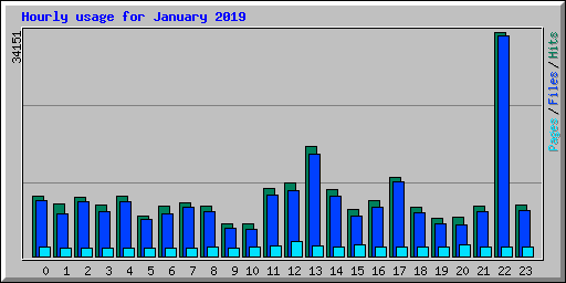 Hourly usage for January 2019