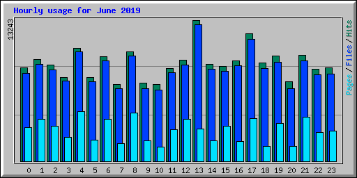 Hourly usage for June 2019