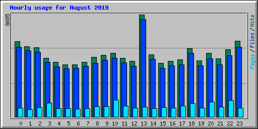 Hourly usage for August 2019