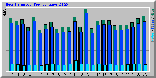 Hourly usage for January 2020