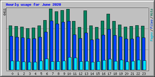 Hourly usage for June 2020