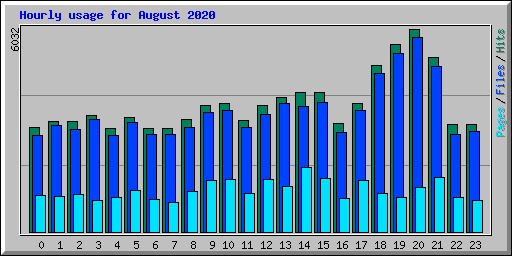 Hourly usage for August 2020