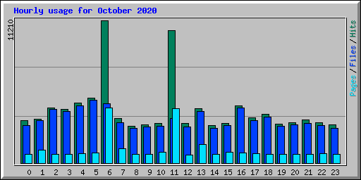 Hourly usage for October 2020