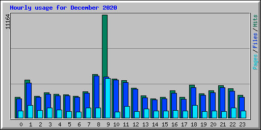 Hourly usage for December 2020