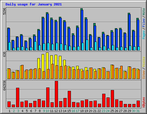 Daily usage for January 2021