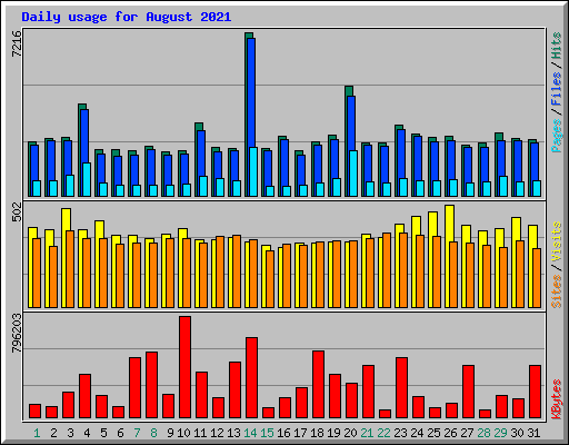 Daily usage for August 2021