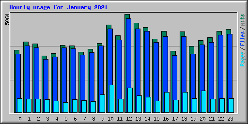 Hourly usage for January 2021