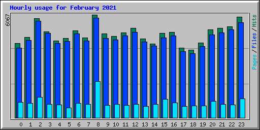 Hourly usage for February 2021