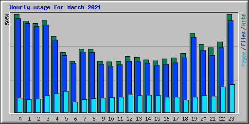 Hourly usage for March 2021