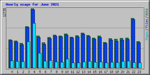 Hourly usage for June 2021