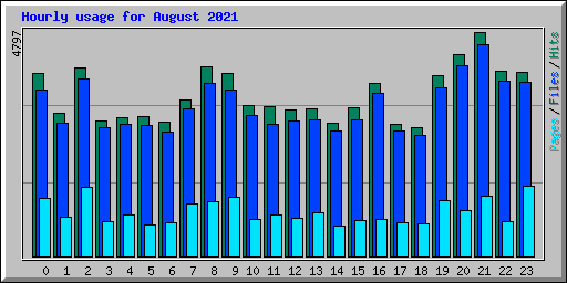 Hourly usage for August 2021