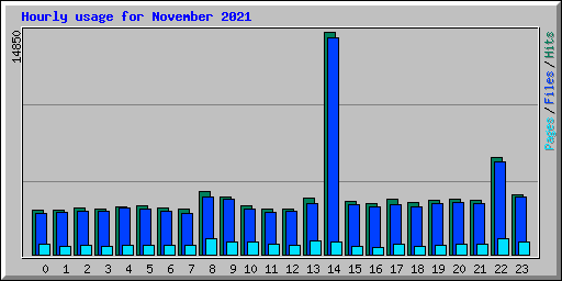 Hourly usage for November 2021