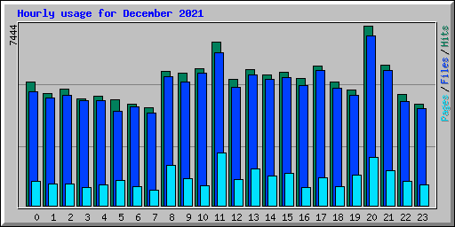 Hourly usage for December 2021