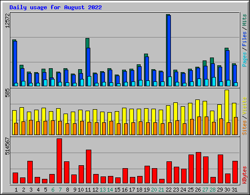 Daily usage for August 2022